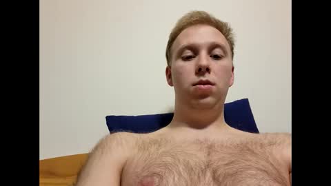 meow732 online show from 10.24.25