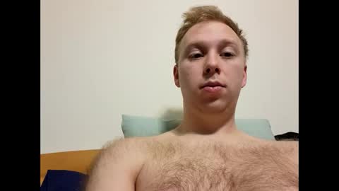 meow732 online show from 10.28.25