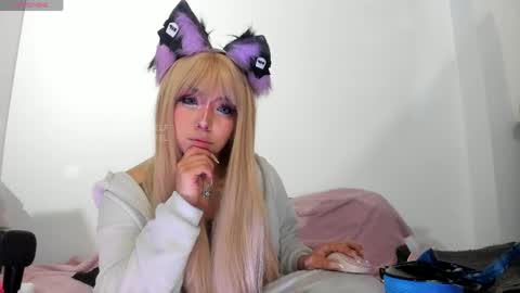meowmelf online show from 05.27.26
