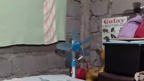 merietiny online show from 01.22.25