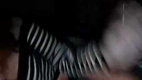 mermaidonland25 online show from 10.05.25