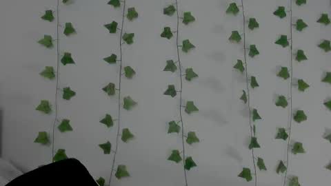 MIA online show from 02.11.26