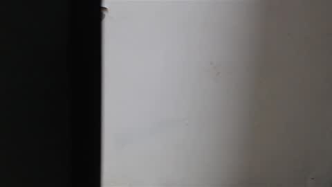 Mia Sepulveda online show from 01.22.25