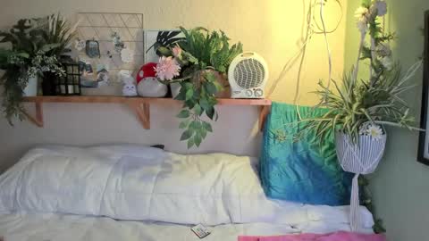 Snapshot of miaa_rose__ chatting on 12.20.24 Miaa online show from 12.20.24