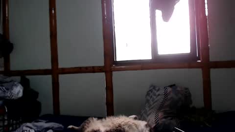 Mia  Sam online show from 10.04.25