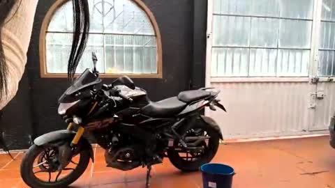 miaoconell online show from 10.13.25