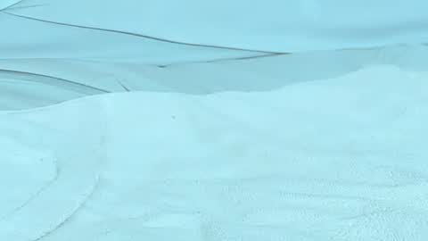 Michelle daniels online show from 12.18.24