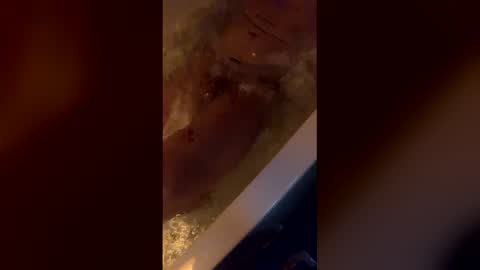 michelsexy69603790 online show from 04.12.26