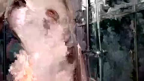 Snapshot of mickavis1975 chatting on 01.01.25 mickavis1975 online show from 01.01.25