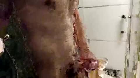 Snapshot of mickavis1975 chatting on 12.14.25 mickavis1975 online show from 12.14.25