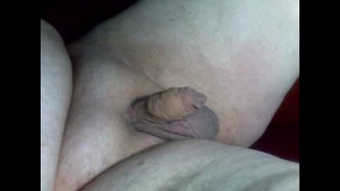 micropimmel online show from 02.09.26