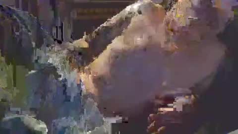 middle123456783939 online show from 09.11.25