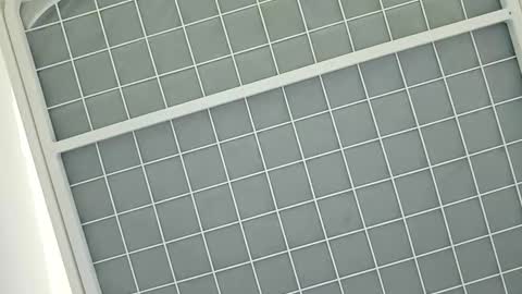 middleton2021 online show from 01.08.25