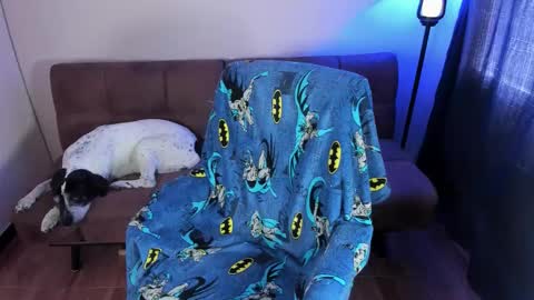 Blue online show from 09.19.25