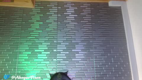 Ma -  online show from 01.22.25