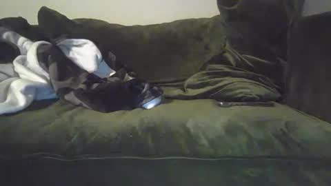 mike_davis44444 online show from 01.31.25