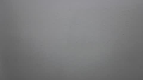 mikehannigan123 online show from 02.19.26