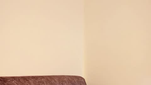     online show from 12.28.24