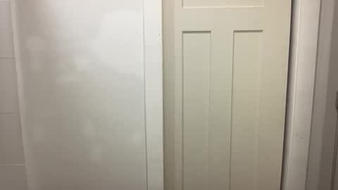 HungCollege online show from 12.20.25