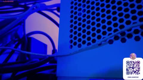 Snapshot of miliameow chatting on 10.08.25 Milia online show from 10.08.25