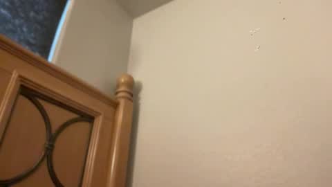 Snapshot of minnyminx chatting on 02.11.26 Minx online show from 02.11.26