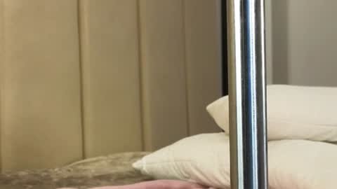 Annie  dont forget to thumbs up me  online show from 01.11.25