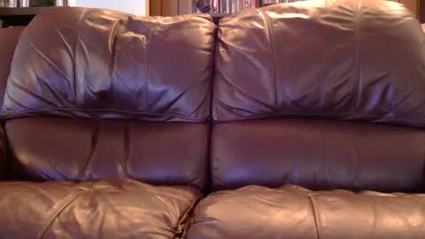 misohoney007 online show from 04.11.26