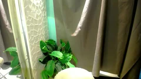 Snapshot of miss_moheera_xxx chatting on 05.03.26 Moheera online show from 05.03.26