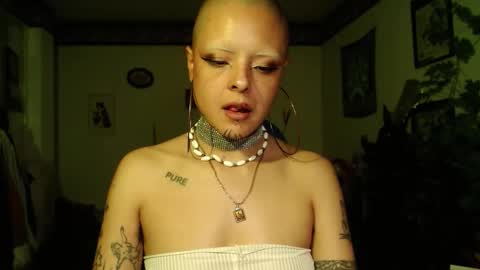 Anarkitten  online show from 12.19.25