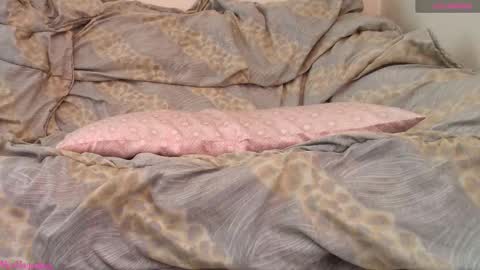  Vi  online show from 02.19.26