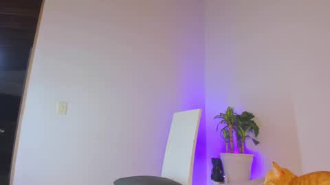 misspaulag online show from 02.14.25