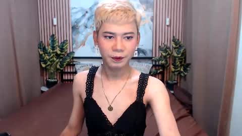 Snapshot of misstransstella69 chatting on 08.05.26 Stella online show from 08.05.26