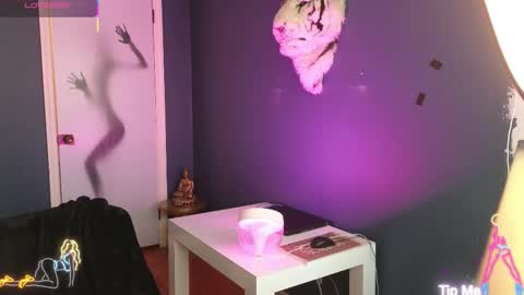 Mikey Jerkoff online show from 01.15.26