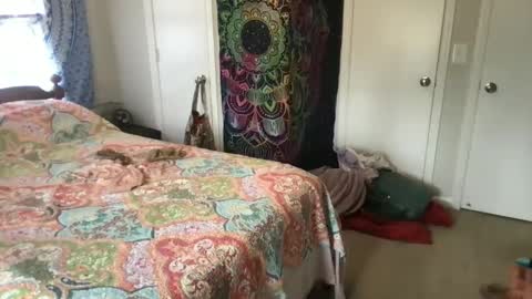 MistyVale online show from 01.21.25