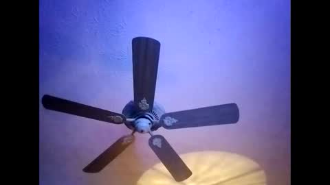 BobbyMitchGa online show from 01.20.25