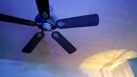 BobbyMitchGa online show from 02.10.25