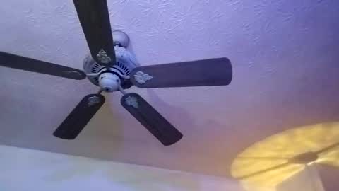 BobbyMitchGa online show from 02.12.25