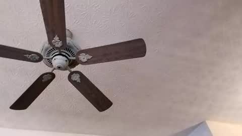 BobbyMitchGa online show from 02.23.25