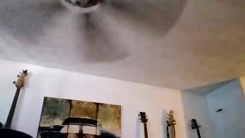 BobbyMitchGa online show from 09.14.25