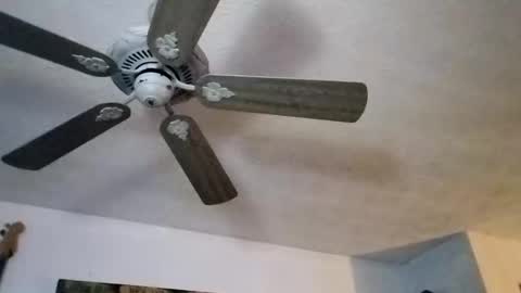 BobbyMitchGa online show from 09.27.25