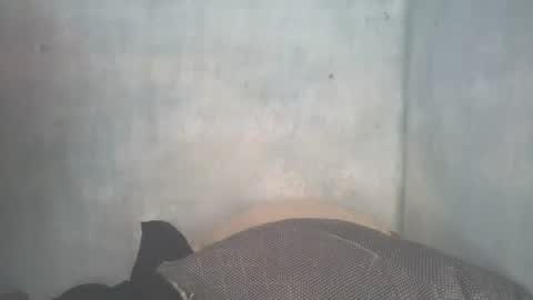 Snapshot of mitsh838354425 chatting on 07.11.26 mitsh838354425 online show from 07.11.26