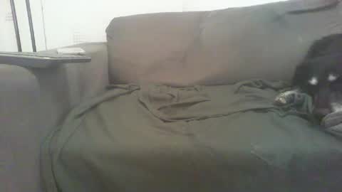 mixandflair online show from 12.22.24