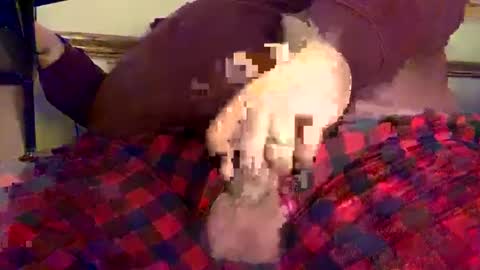 Snapshot of mnguy19726969 chatting on 12.18.24 mnguy19726969 online show from 12.18.24