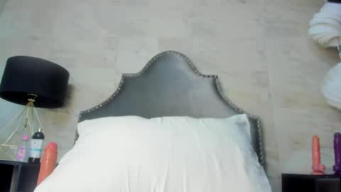 Snapshot of models_sophia chatting on 06.24.26 Sophia online show from 06.24.26