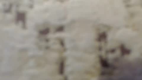 Mohito200711 online show from 09.12.25