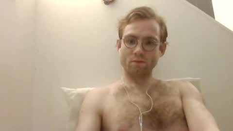 molliter online show from 01.12.25