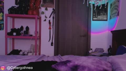 Snapshot of mollycrystalll chatting on 04.15.26 mollycrystalll online show from 04.15.26