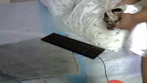 mollyn online show from 03.18.26