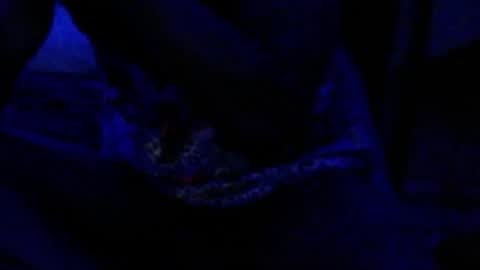 montydxxx2 online show from 12.17.25