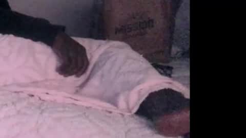 montydxxx2 online show from 02.03.26